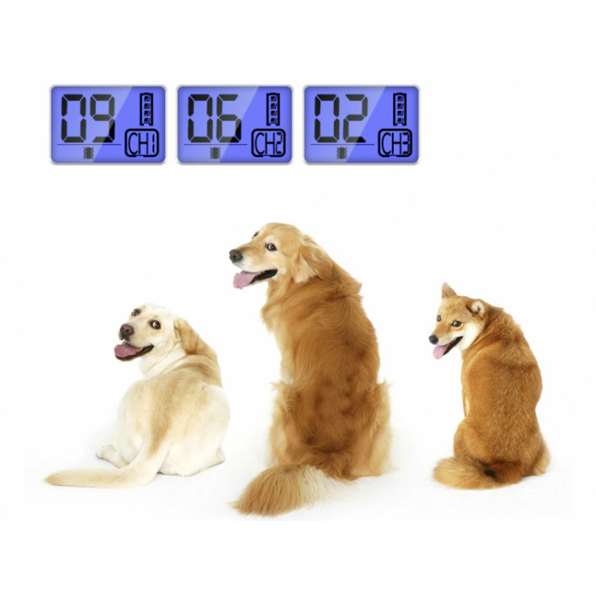 Obsah balení – výcvikový obojek